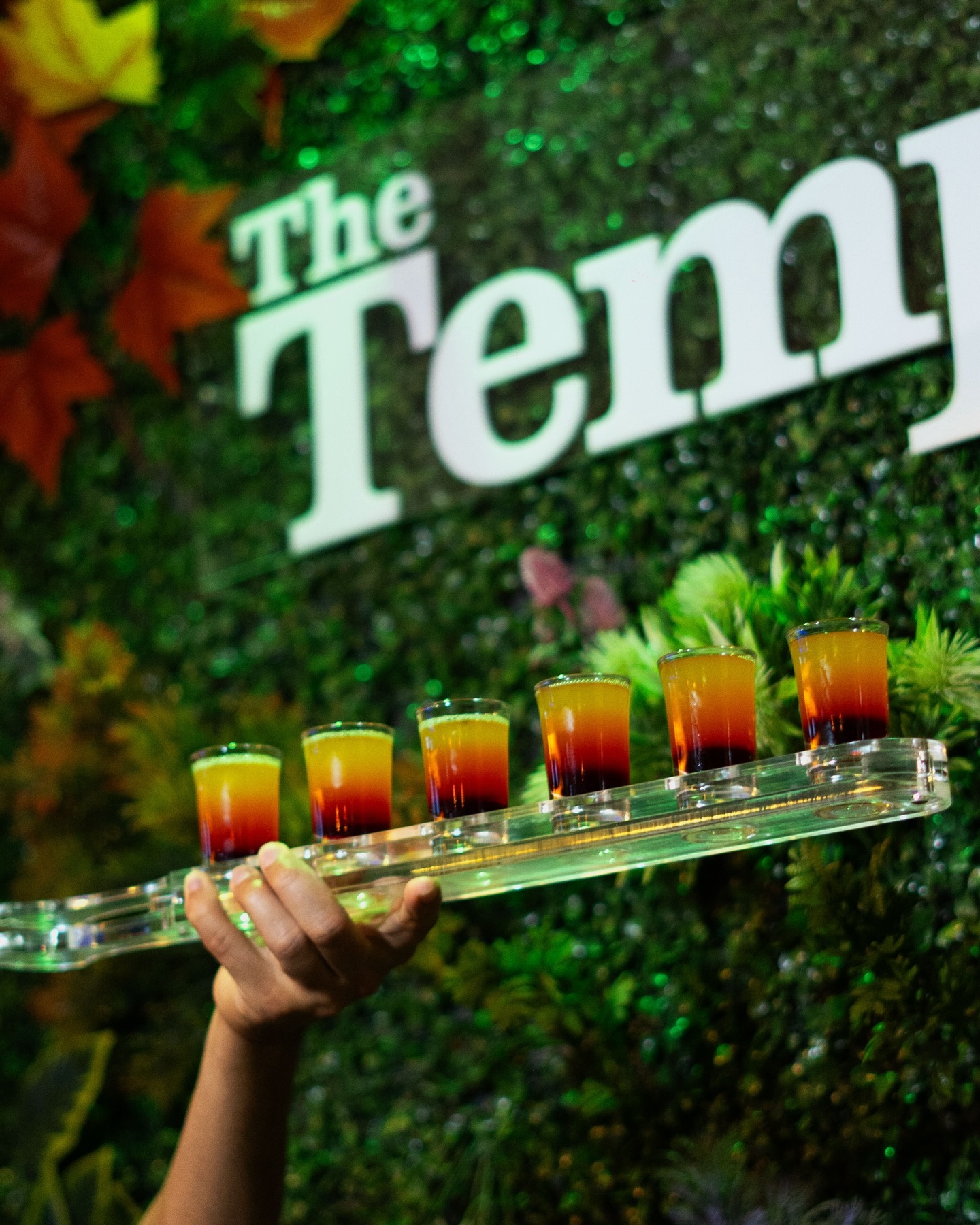 Tray of layered shots held in front of the green The Temple wall